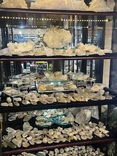 店内