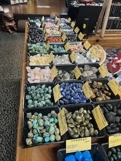店内