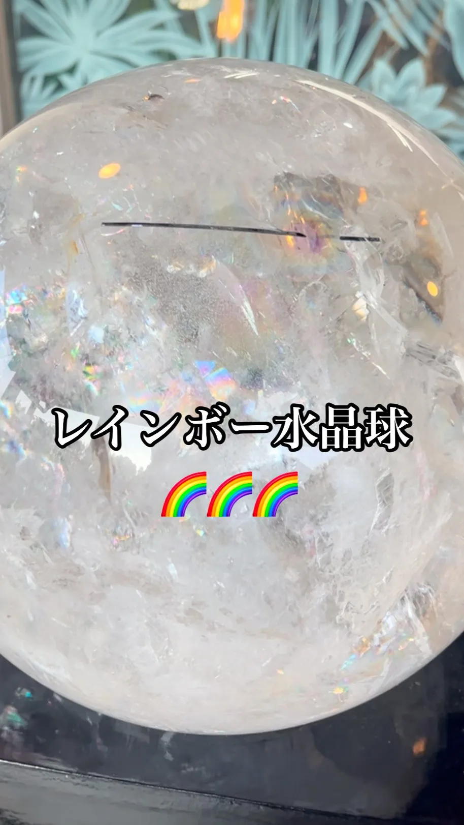 今日も綺麗にレインボー🌈🌈🌈が出ています。