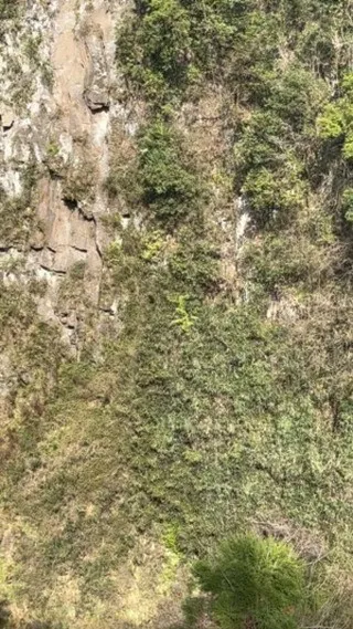 お店のすぐ近くにとても綺麗なパワースポットがあります。