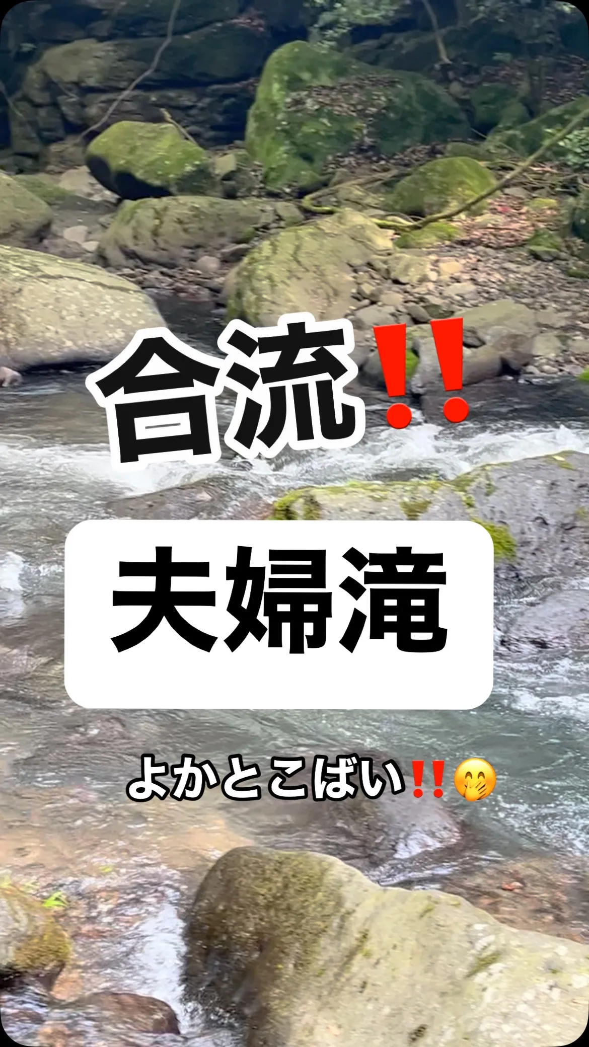 夫婦滝という非常に珍しい滝がありました。