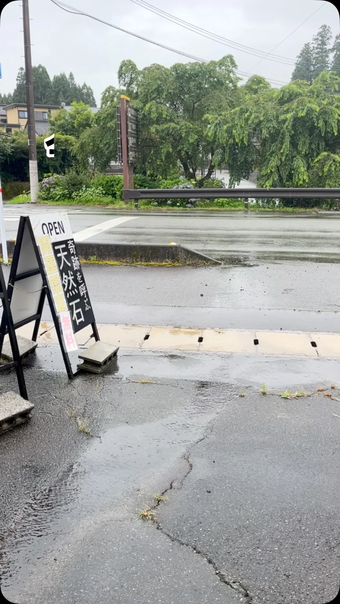 今日は朝から雨模様です。