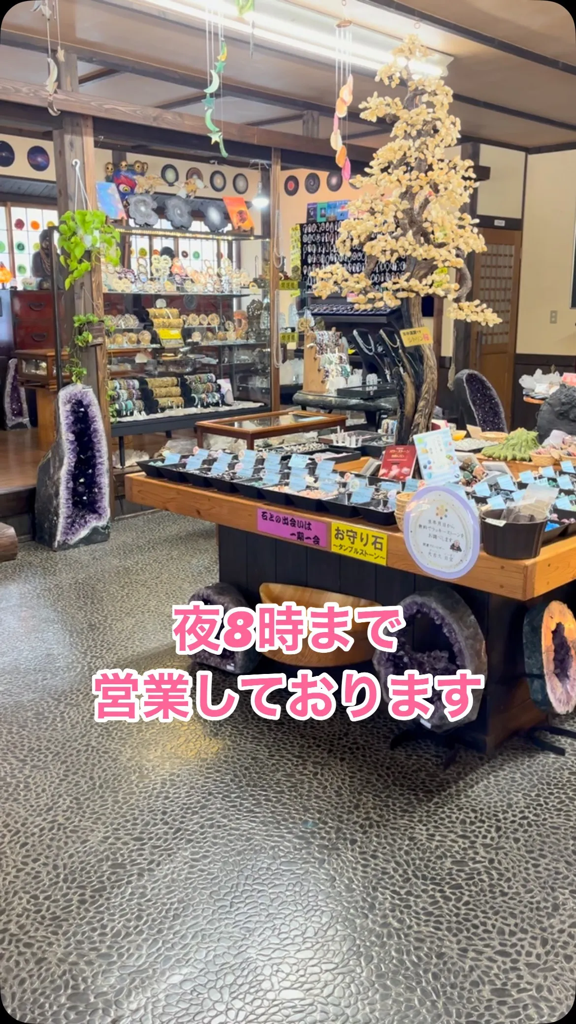 本日は快晴なり😁