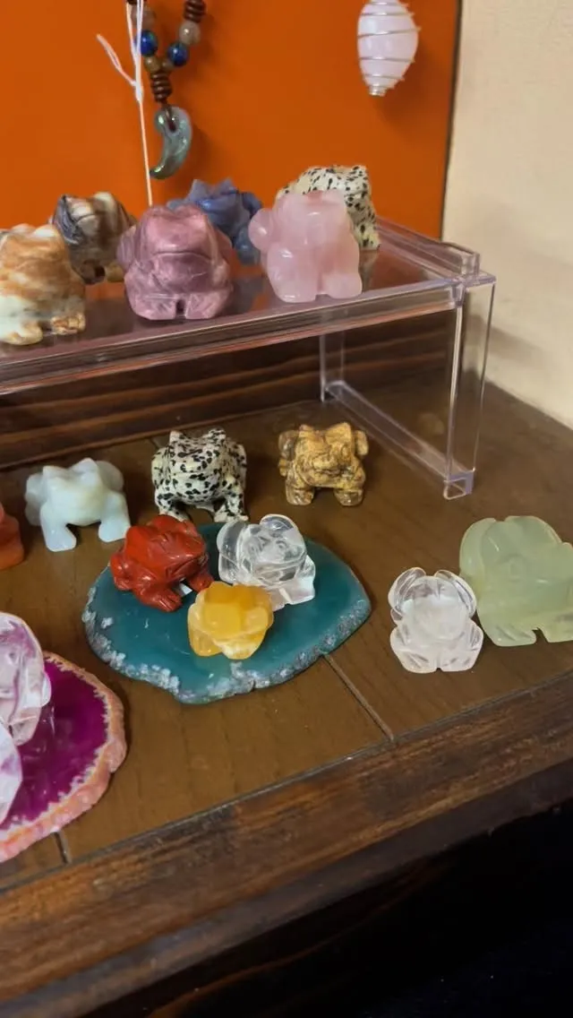 パワーストーンアニマルコーナーの