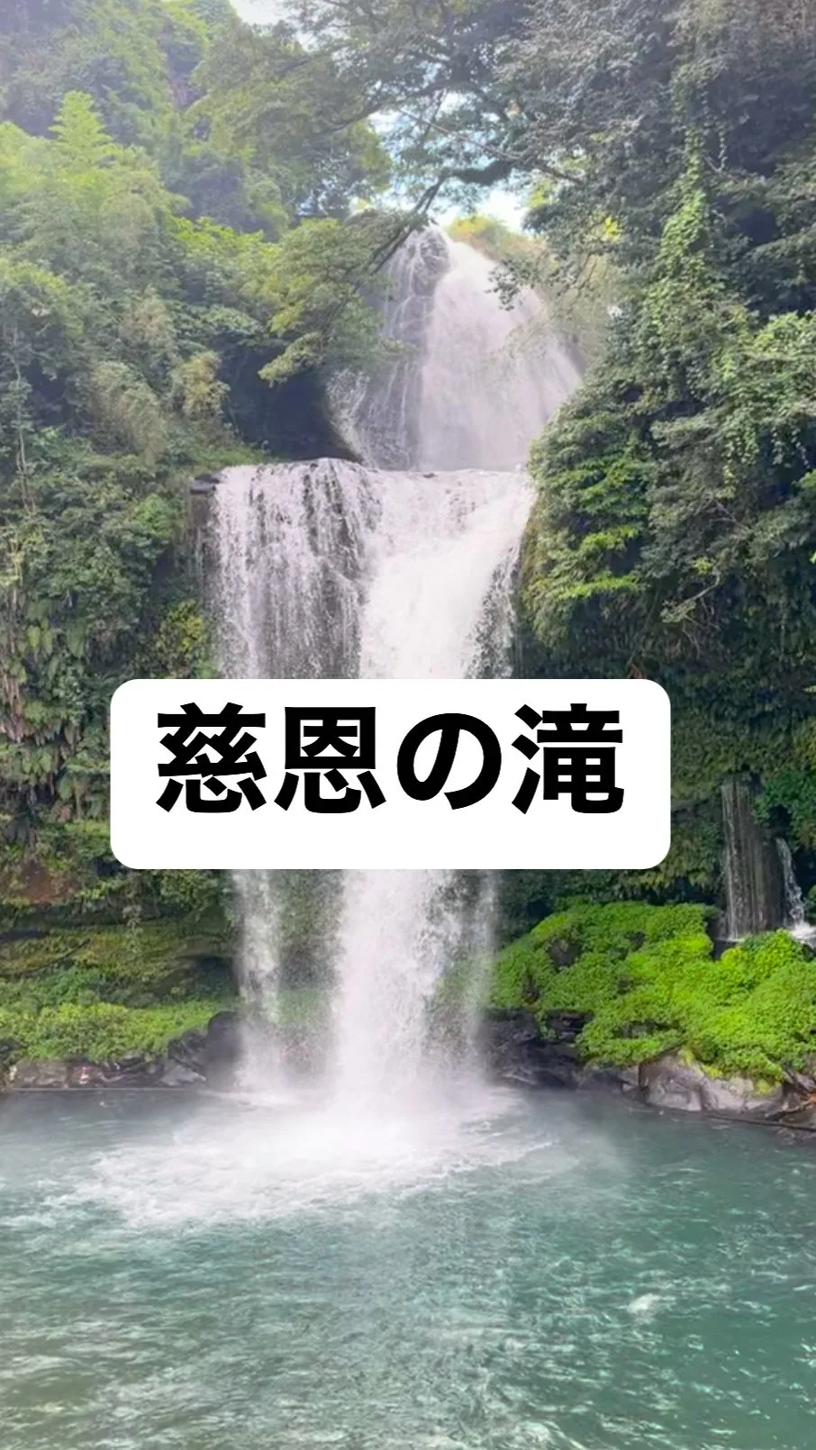 早起きして行ってみた。