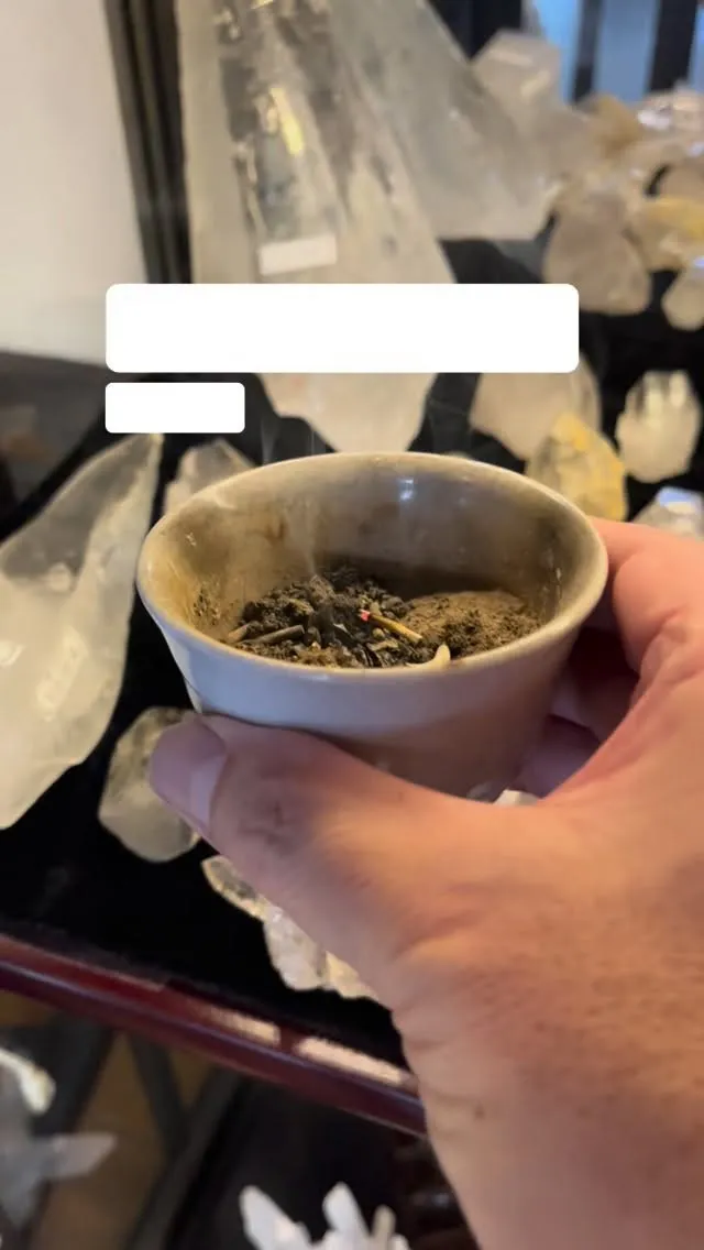 今朝の浄化の様子