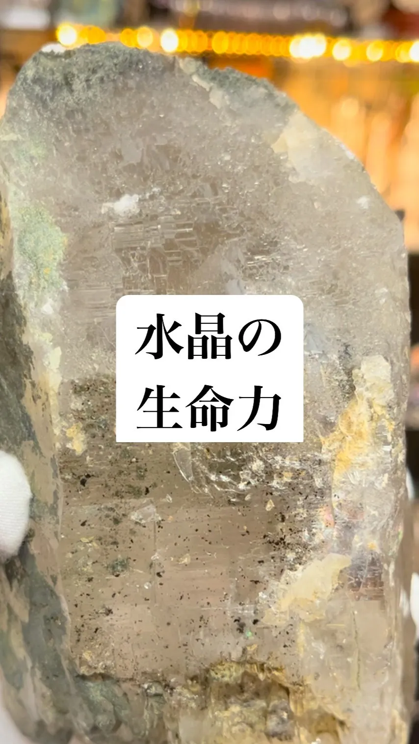 ガネーシュヒマール産水晶で凄いのを見つけました。