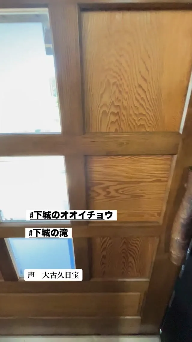 おはようございます☀️