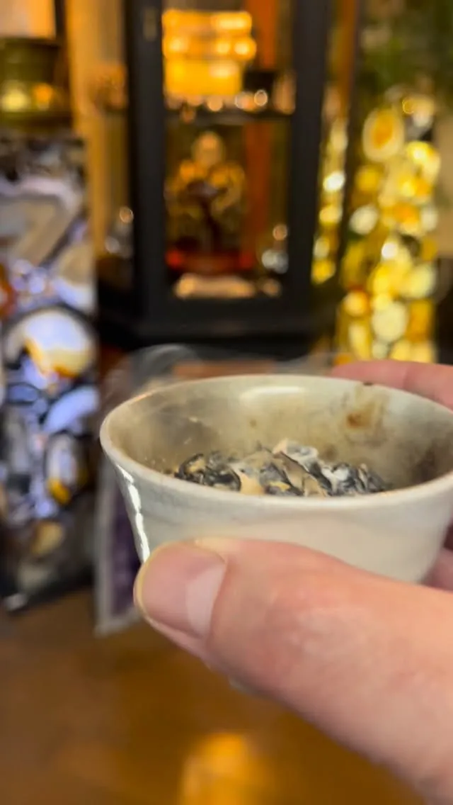 今朝の浄化の様子です。