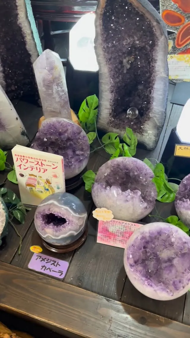 ミスタールチルクォーツ登場‼️😅