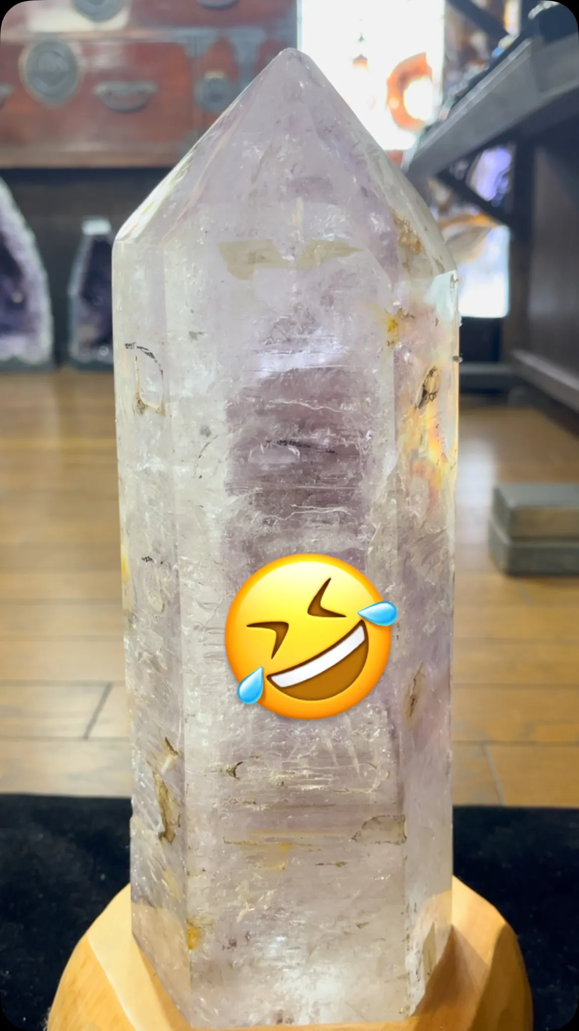 珍種です。