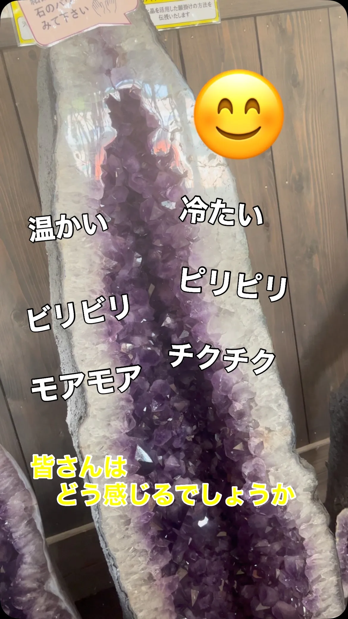 お店に入ってすぐにアメジストがあります。
